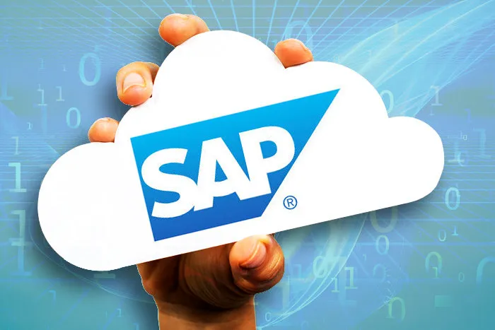 Hire SAP Developers: Offshore Dotnet Programmers, India